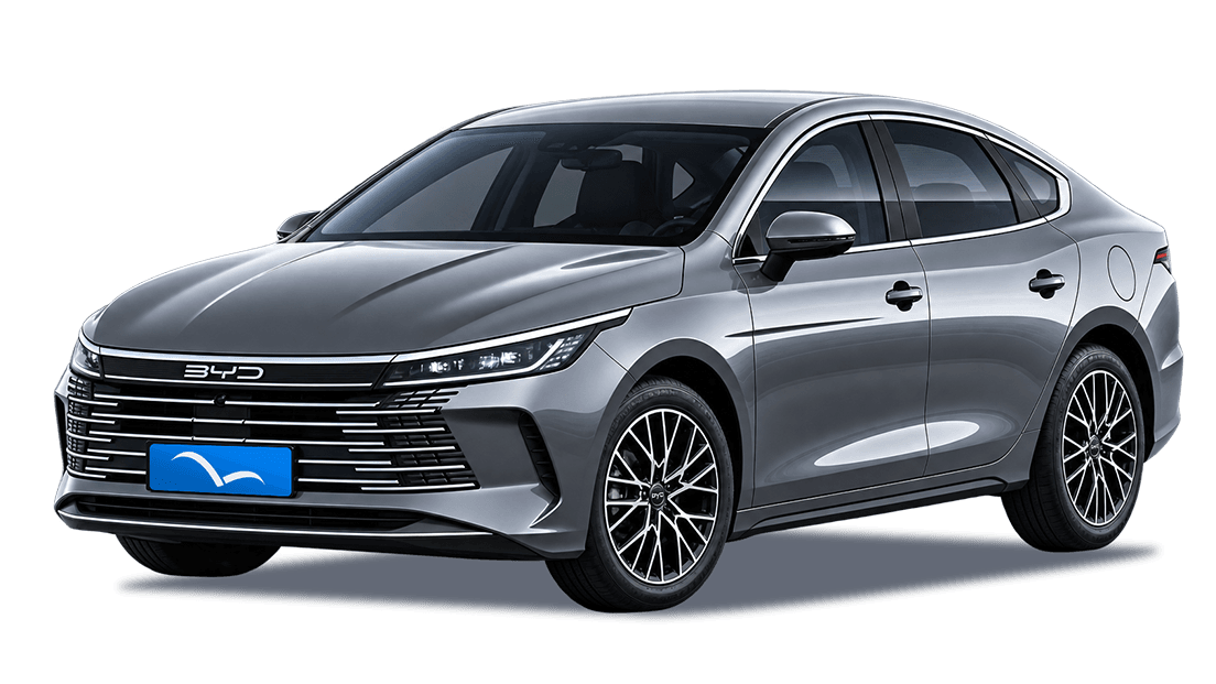 Imagem do veículo BYD King