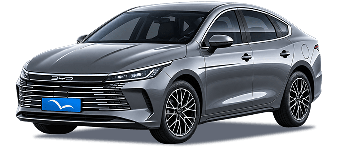 BYD King