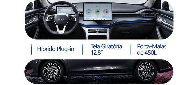 BYD King