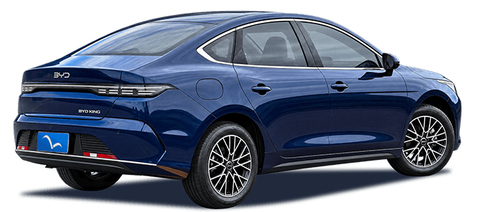 BYD King